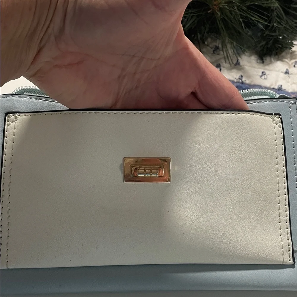 Isabella Vegan Blue and White Women's Clutch